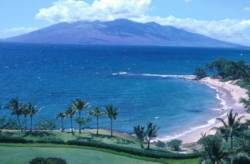 Maui Beach