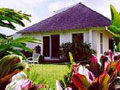 Aloha Sunrise Cottage
