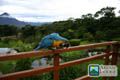 Arenal Lodge