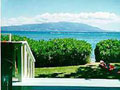 Aloha Beach House