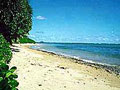 Aloha Beach House