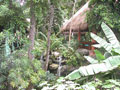 Iberostar Quetzal and Tucan