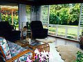 Punana Aloha