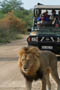 Kruger National Park