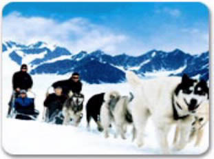 Alaska dog sled