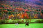 New England in the Fall