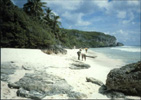 Henderson Island