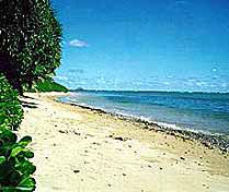 Aloha Beach House Hawaii Molokai Aloha Beach House